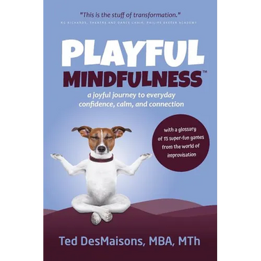 Playful Mindfulness: a joyful journey to everyday confidence, calm, and connection
