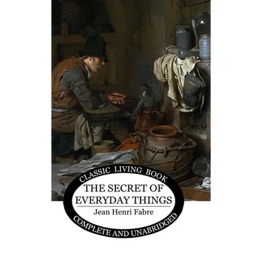 The Secret of Everyday Things