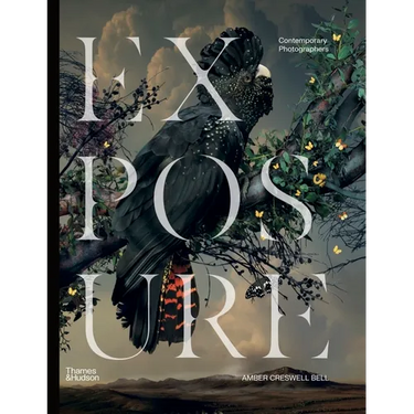 Exposure: Contemporary Photographers