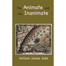 The Animate and the Inanimate