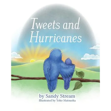 Tweets and Hurricanes