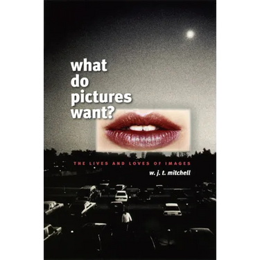 What Do Pictures Want?: The Lives and Loves of Images