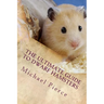 The Ultimate Guide to Dwarf Hamsters: Secrets To Raising A Healthy Happy Pet