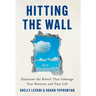 Hitting the Wall: Eliminate the Beliefs That Sabotage Your Business and Your Life