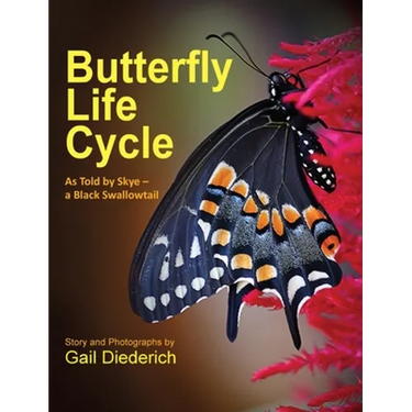 Butterfly Life Cycle: As Told by Skye - a Black Swallowtail