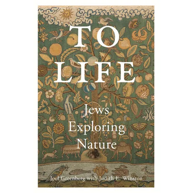 To Life: Jews Exploring Nature