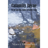 Calamity Jayne: My hit and miss guide to family food