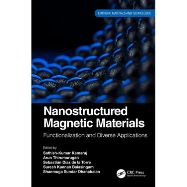 Nanostructured Magnetic Materials: Functionalization and Diverse Applications