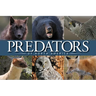 Predators of North America