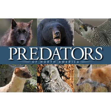 Predators of North America