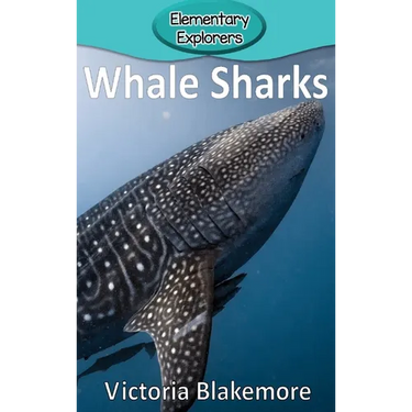 Whale Sharks