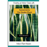Creating an Indoor Oasis with Sansevieria Snake Plant: Snake Plant book