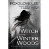 The Witch of the Winter Woods: Large Print: A Paranormal Christmas Tale
