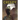 Creepy Archives Volume 7