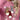 3f224789c5b14cb8a45bc9f71b340ccb-Max