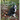 A Dog I Know Called Oreo