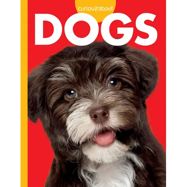 Curious about Dogs