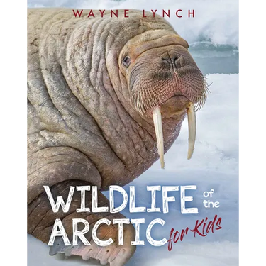 Wildlife of the Arctic for Kids