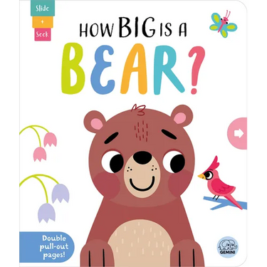 How Big Is a Bear?