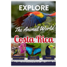 Explore the Animal World of Costa Rica