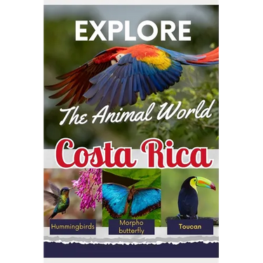 Explore the Animal World of Costa Rica
