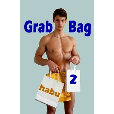 Grab Bag 2: An Unthemed Gay Erotica Anthology