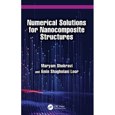 Numerical Solutions for Nanocomposite Structures