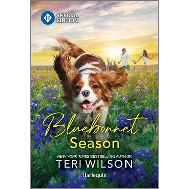 Bluebonnet Season