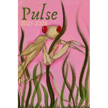 Pulse 2025-2026