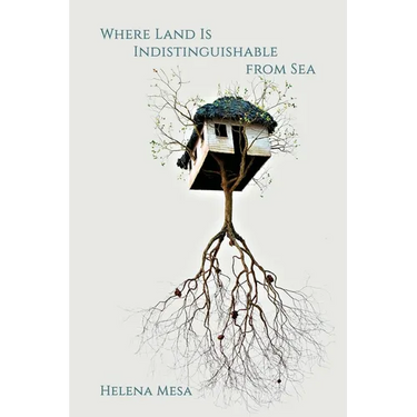 Where Land Is Indistinguishable from Sea