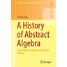A History of Abstract Algebra: From Algebraic Equations to Modern Algebra