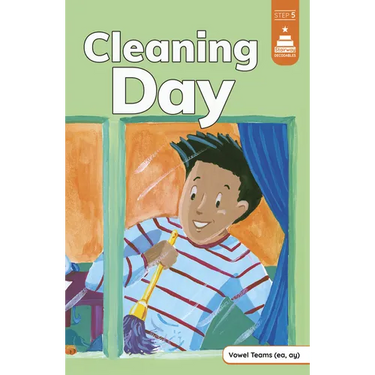 Cleaning Day