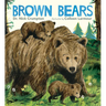 Brown Bears