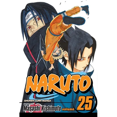 Naruto, Vol. 25: Brothers