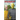 Regalbop