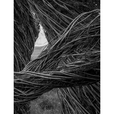 Patrick Dougherty James Florio: Sticks