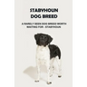 Stabyhoun Dog Breed: A Rarely Seen Dog Breed Worth Waiting for - Stabyhoun: Stabyhoun Dog Breed Information, Photos, Traits and Facts