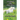 Chasing the Unicorn