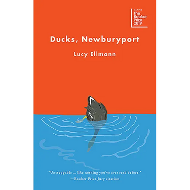Ducks, Newburyport