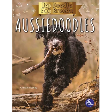 Aussiedoodles