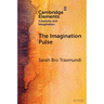 The Imagination Pulse: From Flickers to Firestorms in Reading