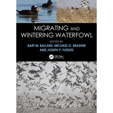 Migrating and Wintering Waterfowl