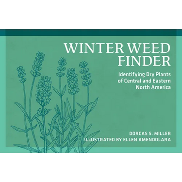 Winter Weed Finder: Identifying Dry Plants of Central and Eastern North America