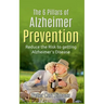 The 6 Pillars of Alzheimer Prevention: Reduce the Risk to getting Alzheimer's Disease