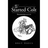 The Started Colt: Horsemanship as an Art