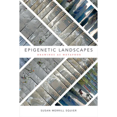 Epigenetic Landscapes: Drawings as Metaphor