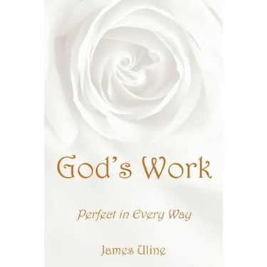 God's Work: Perfect in Every Way