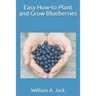 Easy How-To Plant and Grow Blueberries