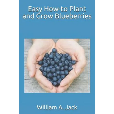 Easy How-To Plant and Grow Blueberries