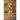 The Burgess Flower Book with new color images